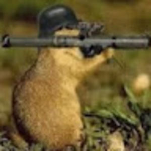 Meet your Posher, Phil